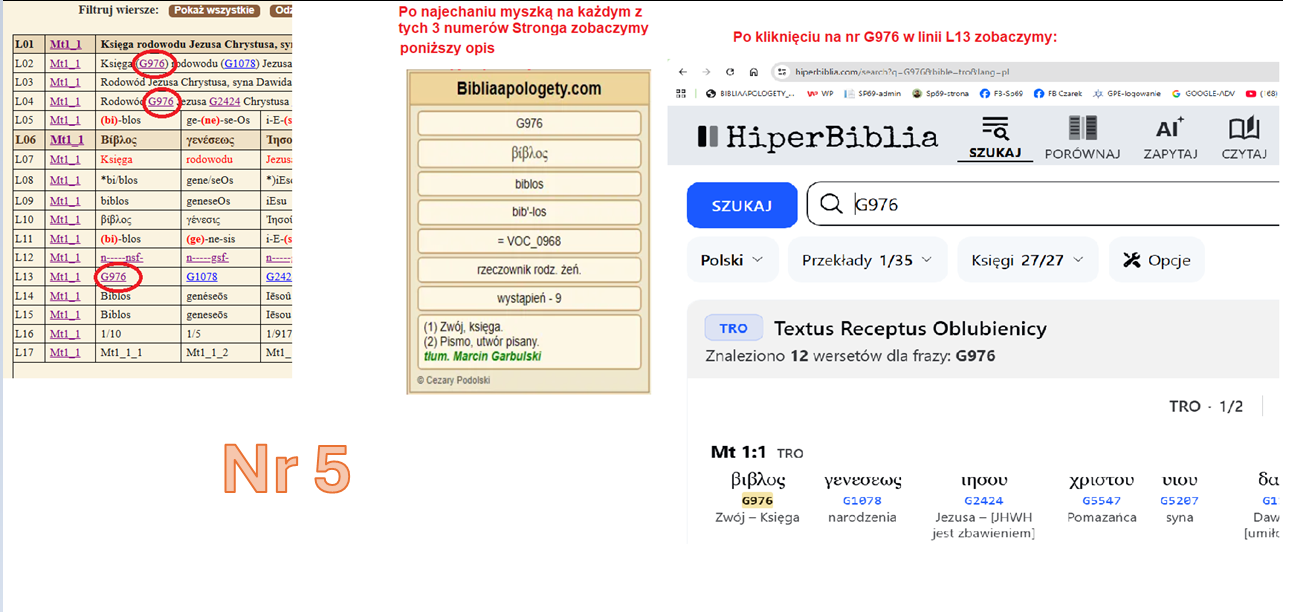Numer Stronga G976 i wynik w HyperBiblii